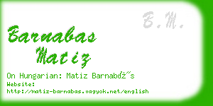 barnabas matiz business card